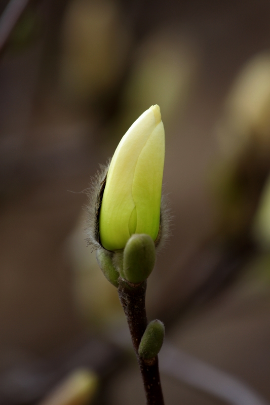 纺织城艺术区拍摄 224.jpg