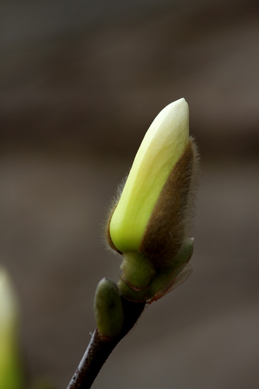 纺织城艺术区拍摄 227.jpg