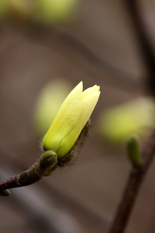 纺织城艺术区拍摄 231.jpg