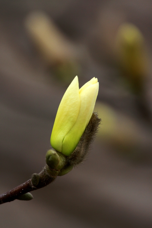 纺织城艺术区拍摄 239.jpg