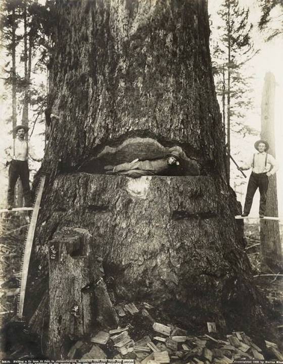 old-funny-and-weird-photos06.jpg