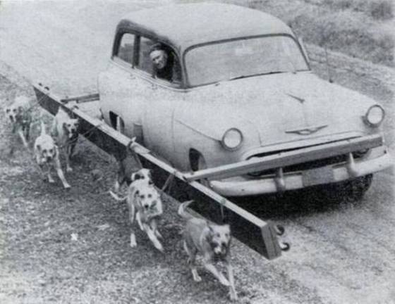 old-funny-and-weird-photos17.jpg