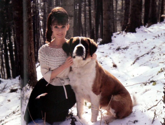 Audrey.Hepburn003-673x511.jpg