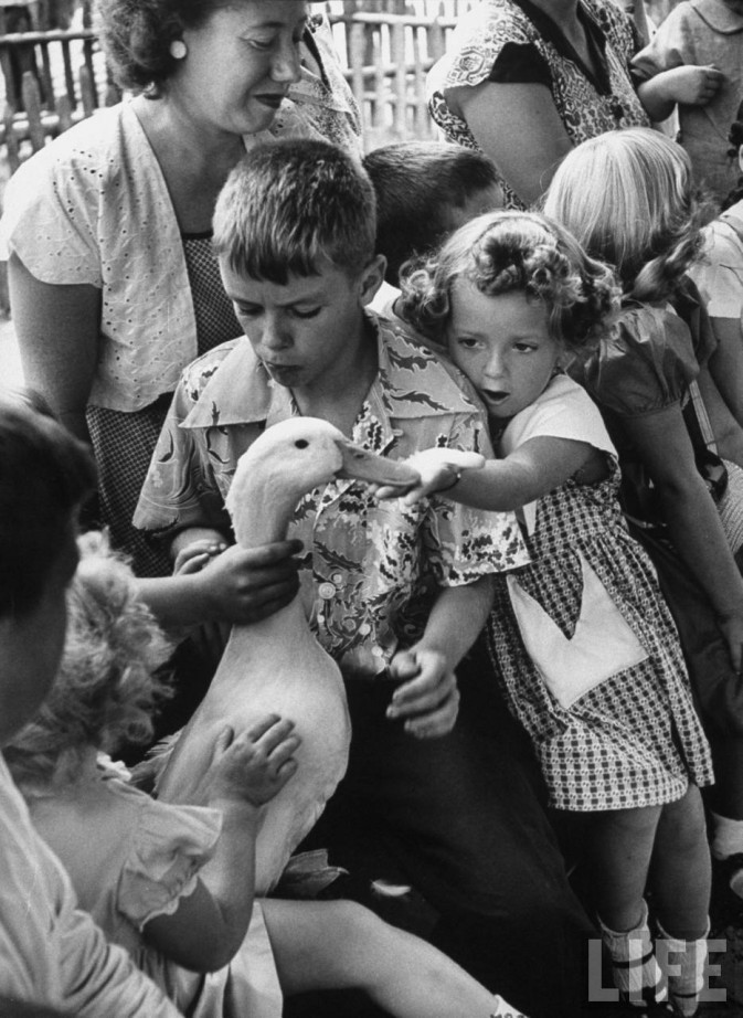 Children-petting-a-duck-at-Brookfield-Childrens-ZooAugust-1953-Howard-Sochurek-673x922.jpg