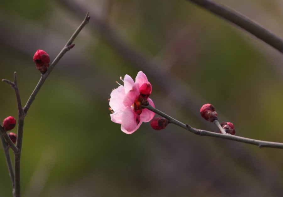 调整大小 IMG_4654.jpg