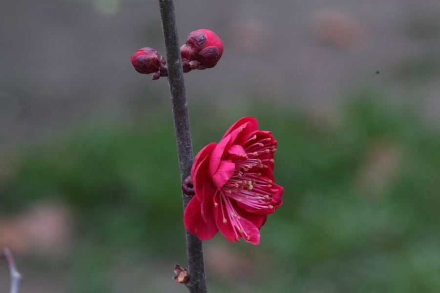 调整大小 IMG_4740.jpg