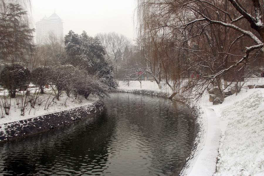 _MG_1503.JPG