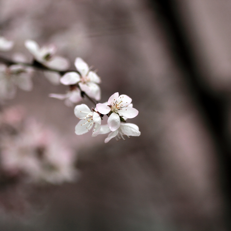 nEO_IMG_600D-135L阴天 试机01.jpg