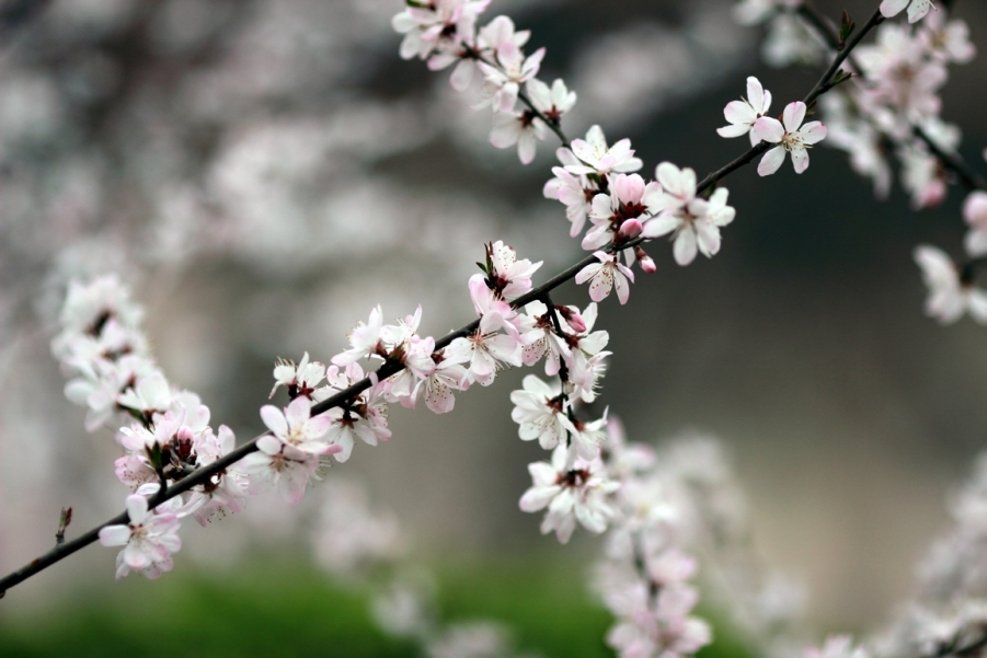 nEO_IMG_600D-135L阴天 试机02.jpg