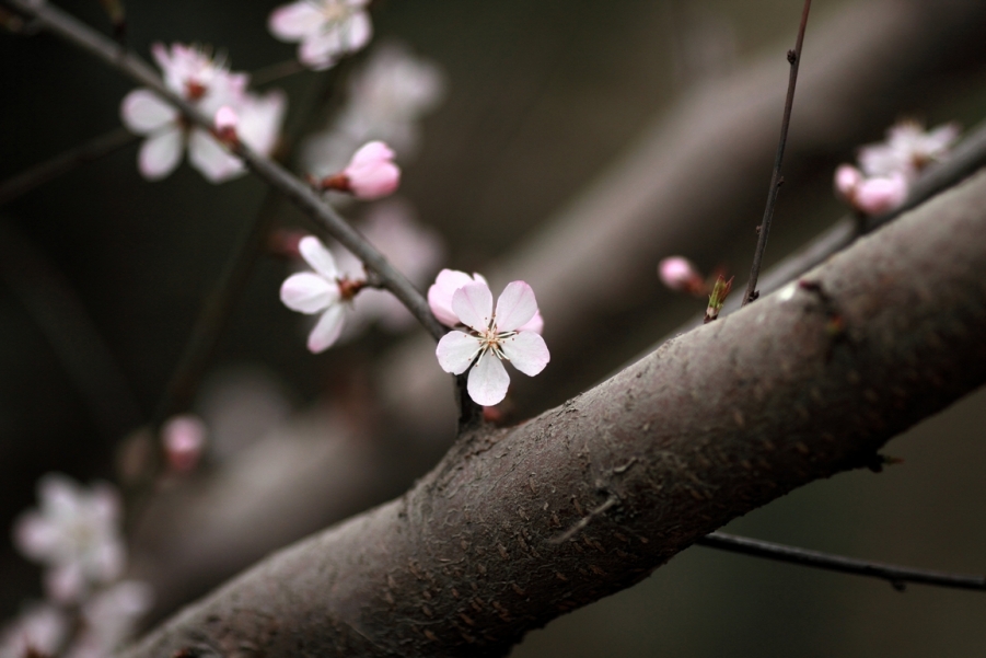 nEO_IMG_600D-135L阴天 试机03.jpg