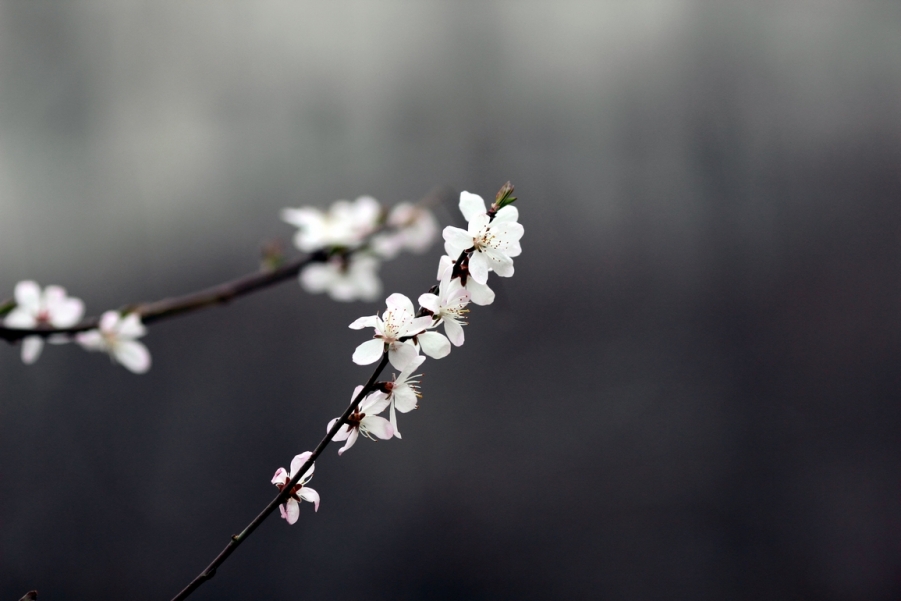 nEO_IMG_600D-135L阴天 试机06.jpg