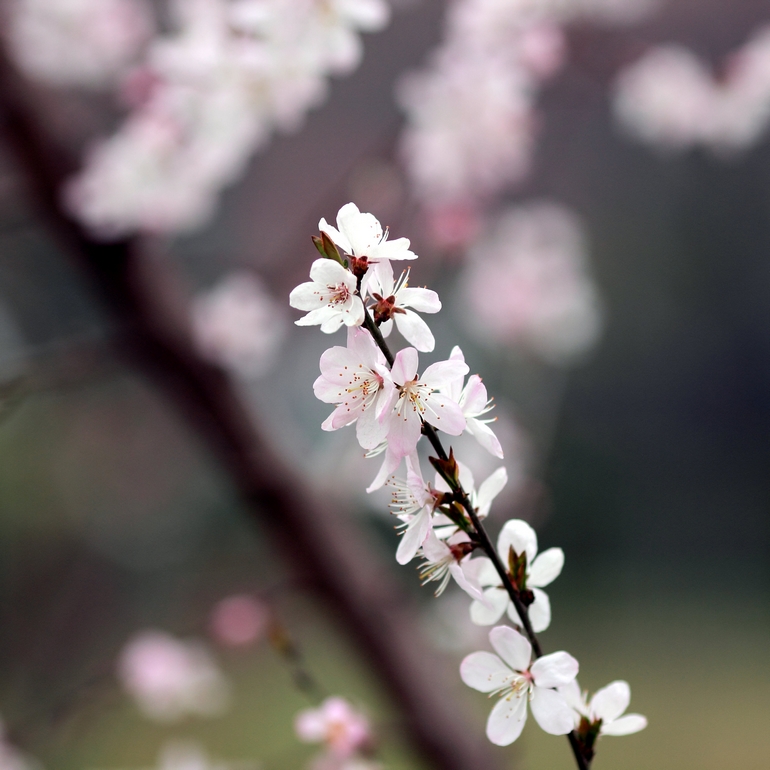 nEO_IMG_600D-135L阴天 试机08.jpg