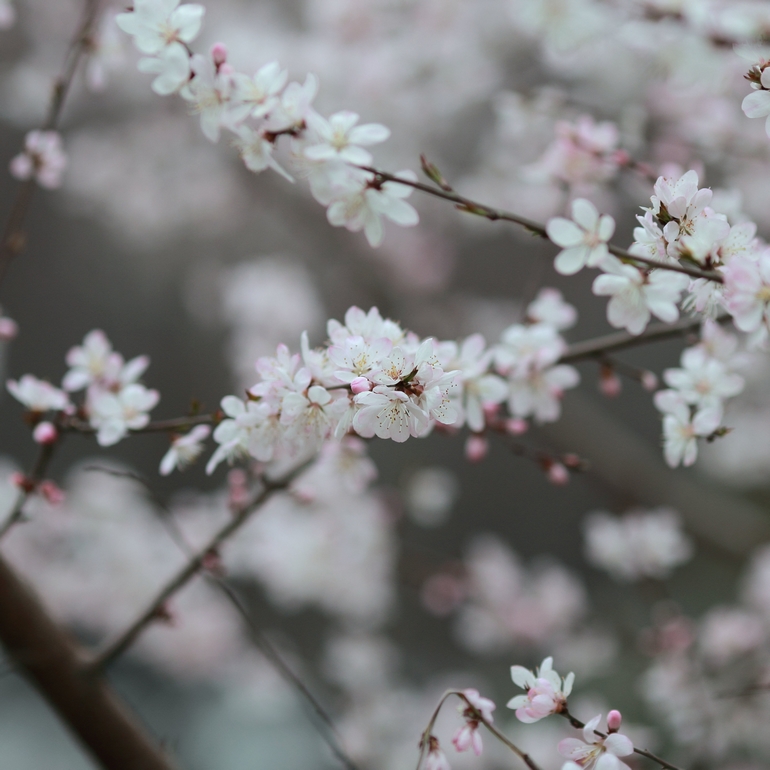 nEO_IMG_600D-135L阴天 试机10.jpg