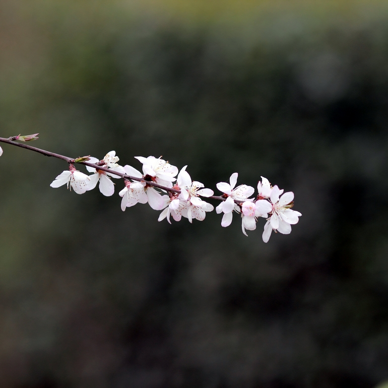 nEO_IMG_600D-135L阴天 试机11.jpg