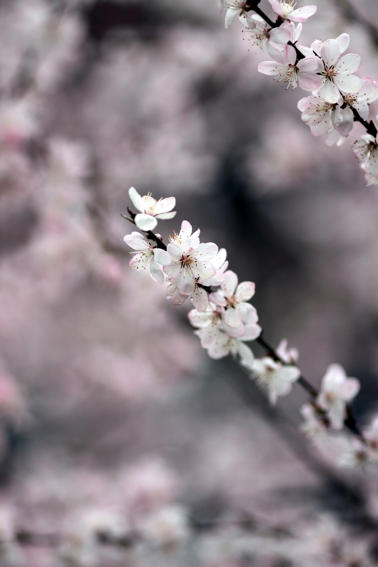 nEO_IMG_600D-135L阴天 试机12.jpg