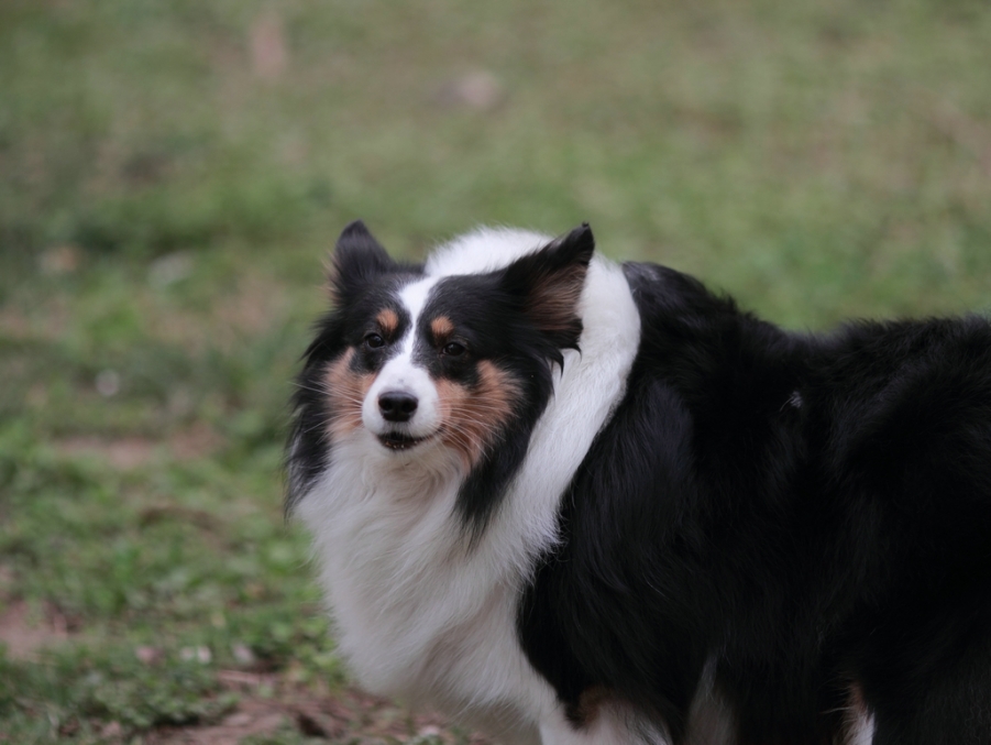 nEO_IMG_600D-135L阴天 试机18.jpg