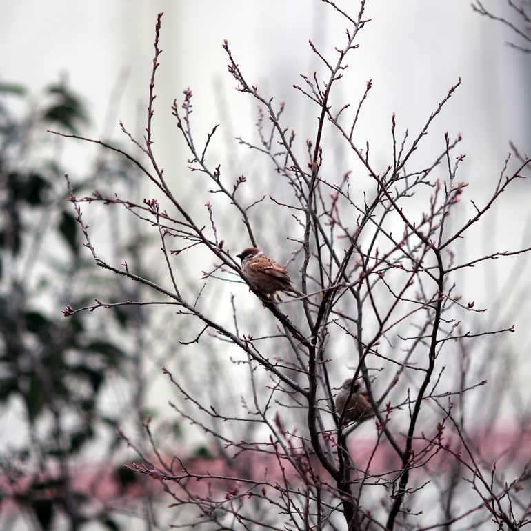 nEO_IMG_600D-135L阴天 试机25.jpg