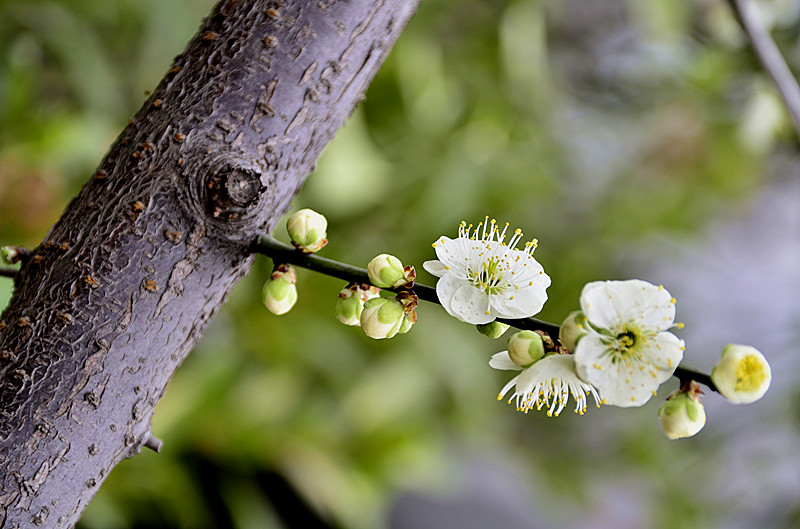 照片 024_副本.jpg