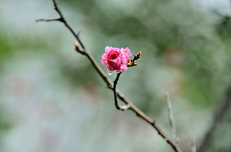 照片 051_副本.jpg