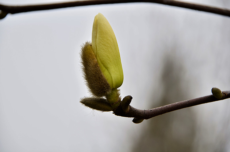 照片 124_副本.jpg