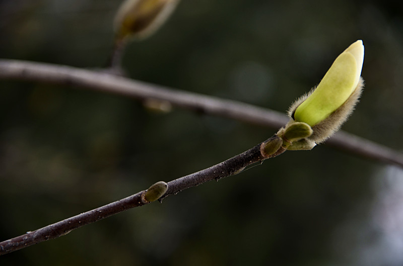 照片 139_副本.jpg