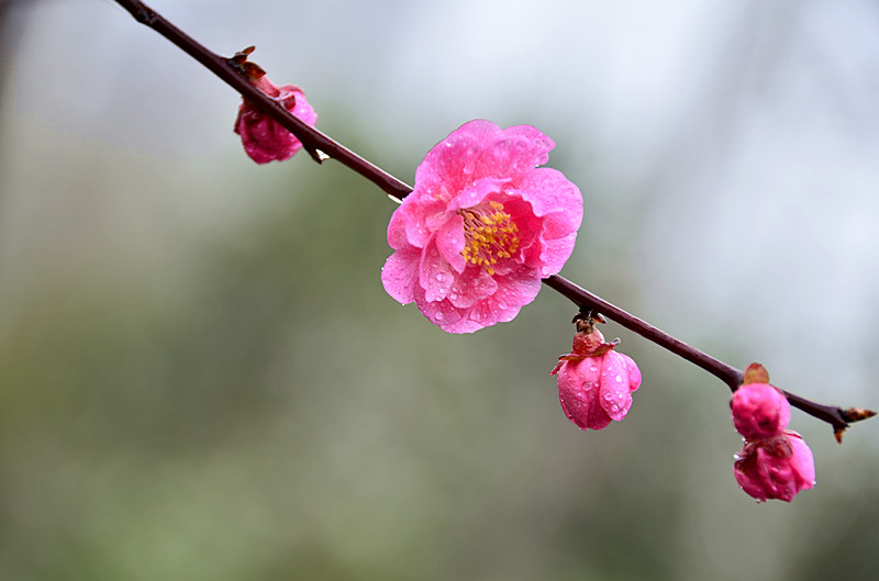 照片 160_副本.jpg