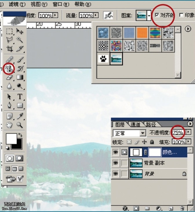 shuic8-673x733.jpg