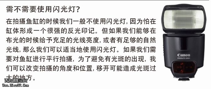 qs-14.jpg