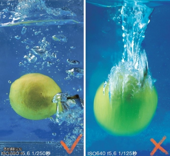 fruit10-673x621.jpg