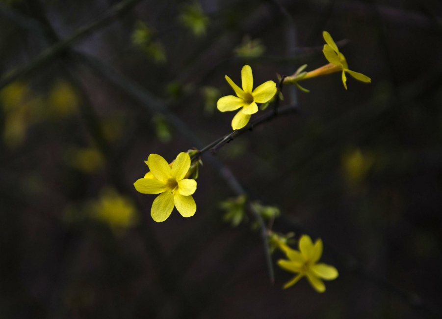 照片 024_1_副本.jpg