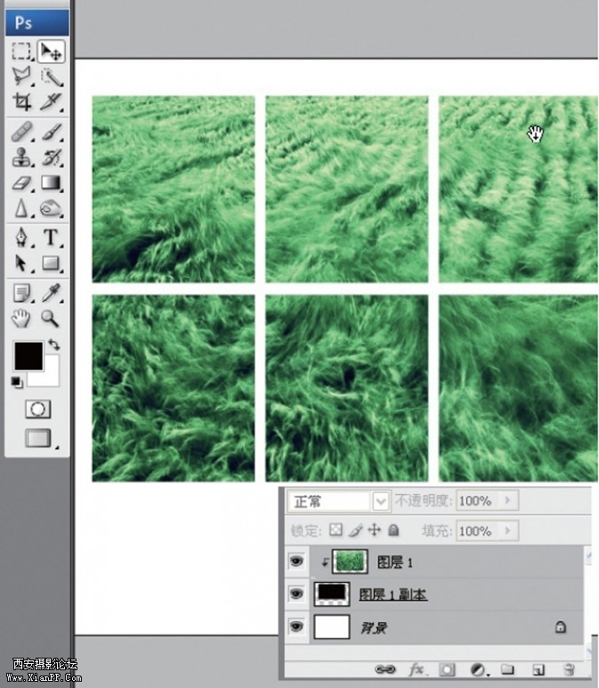 fenge11-673x773.jpg