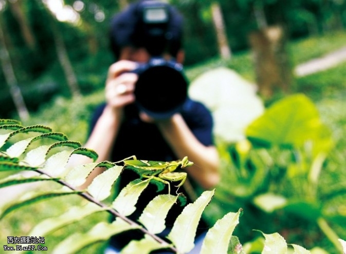 tanglang6-673x495.jpg