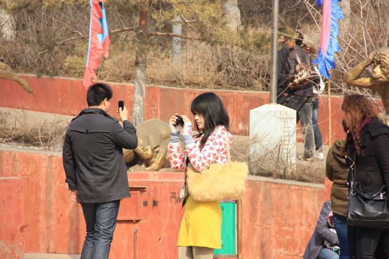 第二张照糊了，但是个美女