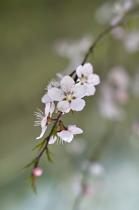 照片 187_副本_旋转.jpg