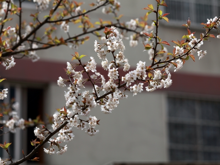 nEO_IMG_0327 小孩子的吃相09.jpg