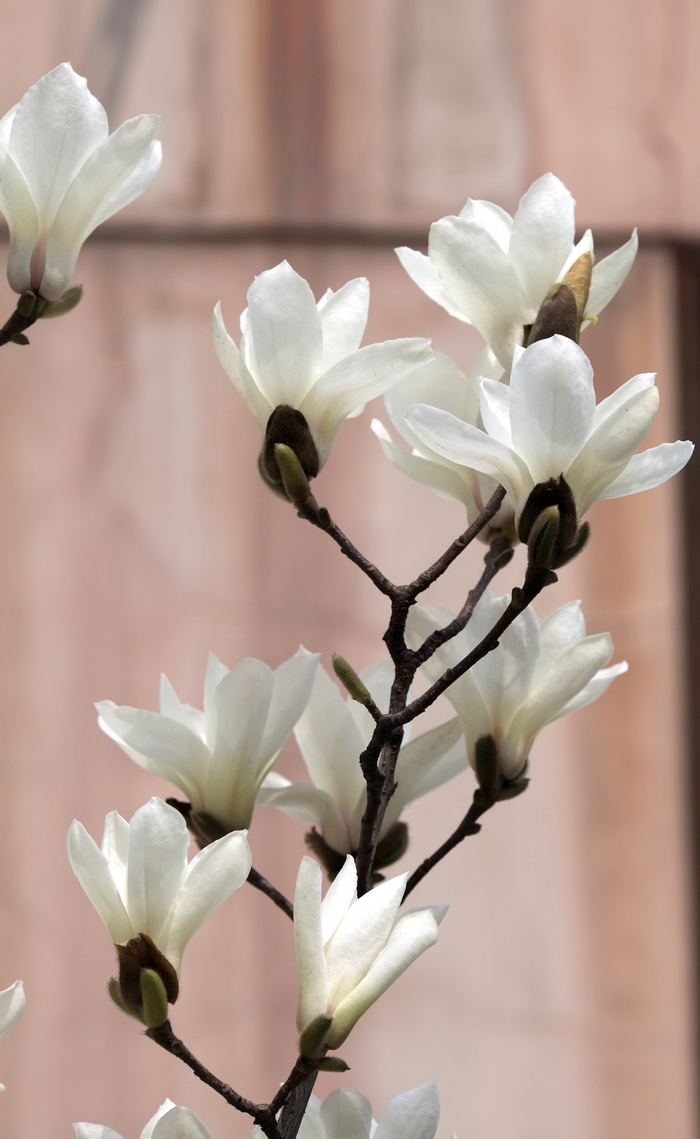 nEO_IMG_0327 小孩子的吃相12.jpg