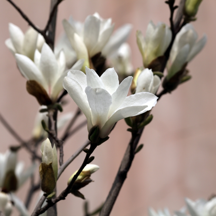 nEO_IMG_0327 小孩子的吃相13.jpg