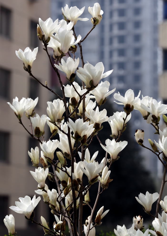 nEO_IMG_0327 小孩子的吃相14.jpg