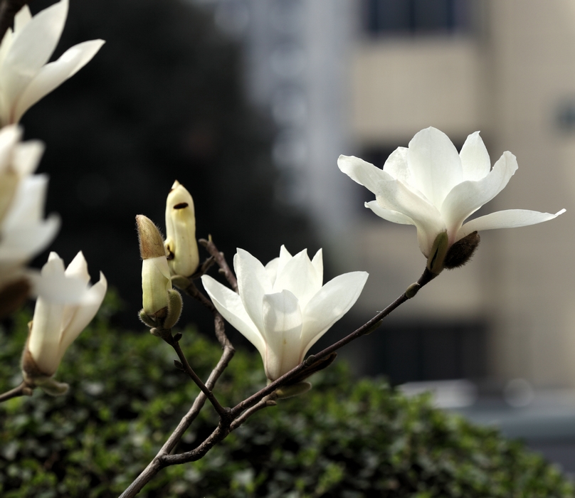 nEO_IMG_0327 小孩子的吃相15.jpg