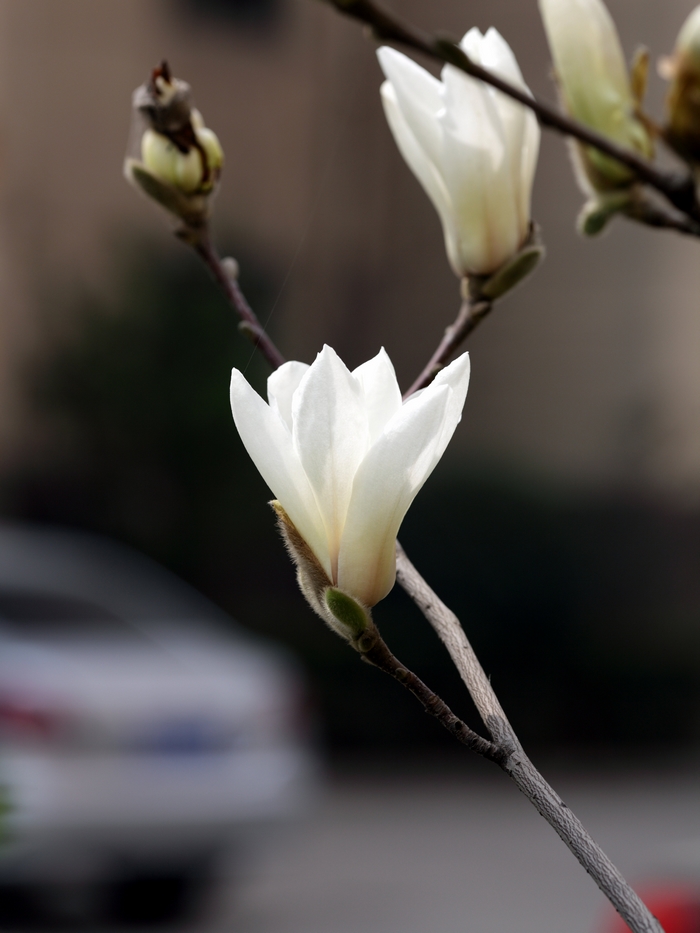 nEO_IMG_0327 小孩子的吃相16.jpg