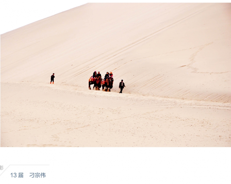 习宗伟.jpg