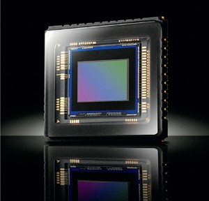 P127-1-300x288.jpg
