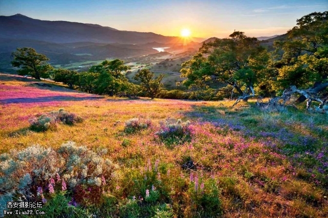 sean02-673x448.jpg sean02-673x448.jpg