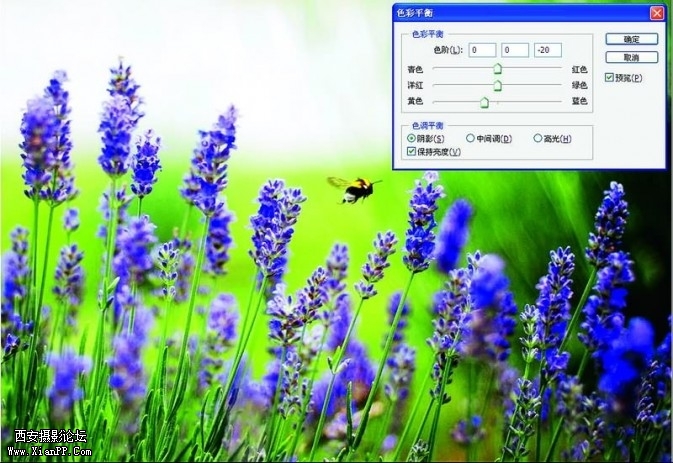 xunyi08-673x463.jpg
