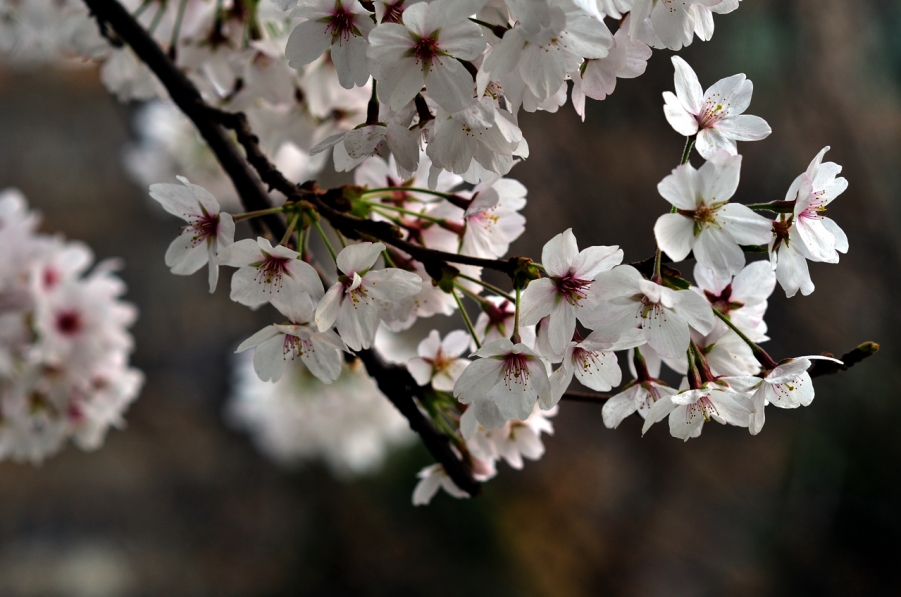 20120329 020_过滤后.jpg