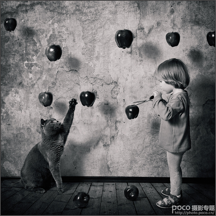 童年那只猫5.jpg