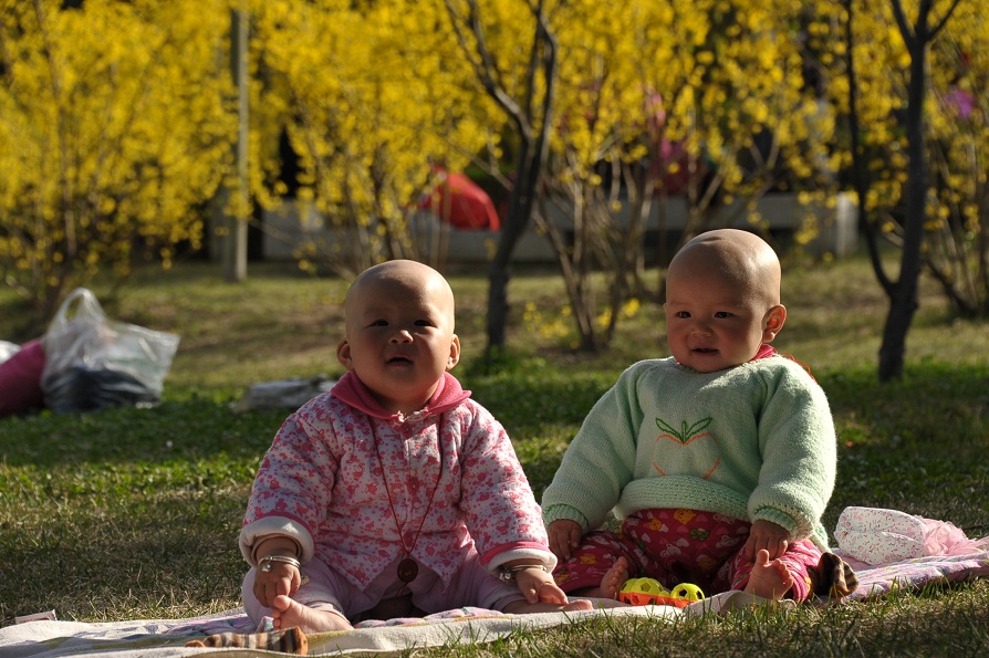 DSC_4748.JPG