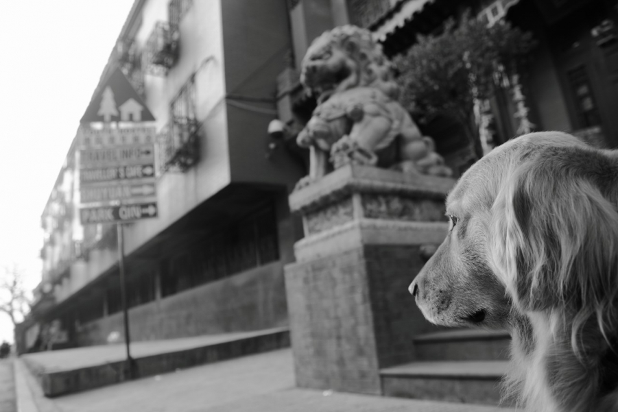 _MG_9220.JPG