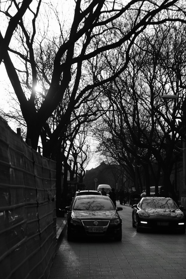 _MG_9231.JPG