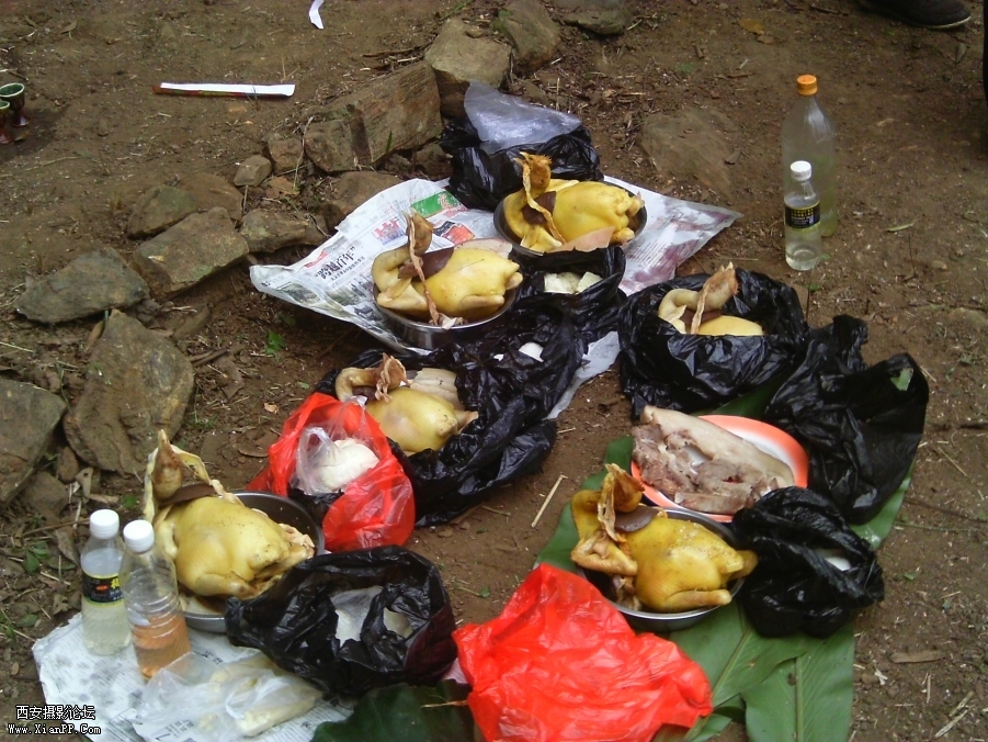 IMAG0162.JPG